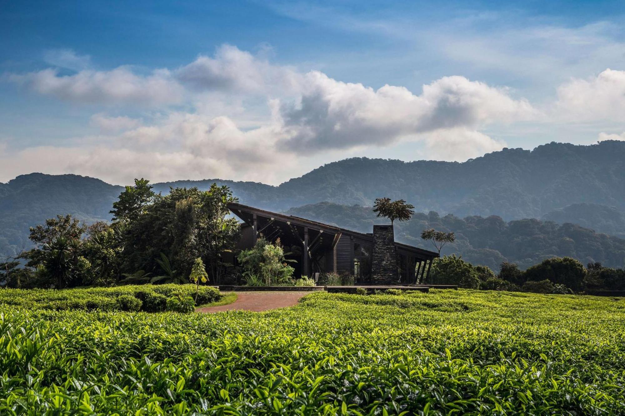 One&Only Nyungwe House Villa Rwumba Exterior foto